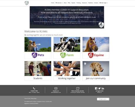 Screenshot of the homepage from the XLVets website
