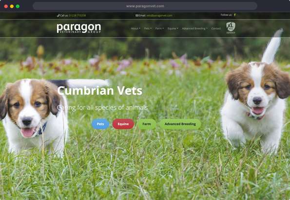 Screenshot taken from the Statamic website for Paragon Veterinary Group. Statamic development by Arrow.